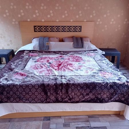 Wadi Rum Nature Tours And Camp Εξωτερικό φωτογραφία