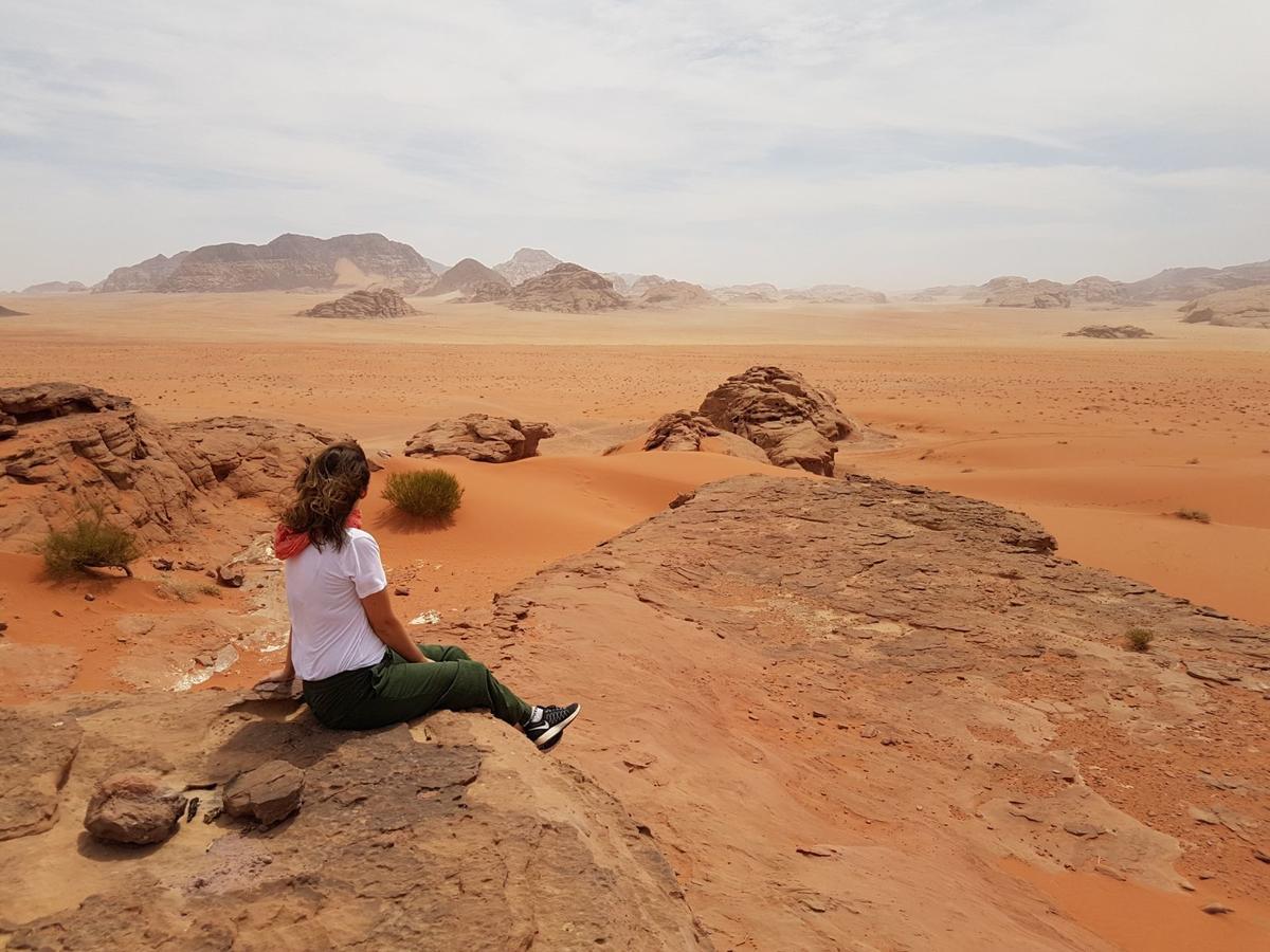 Wadi Rum Nature Tours And Camp Εξωτερικό φωτογραφία